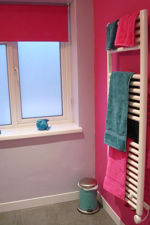 Talybont B&B Aberystwyth Tal-y-bont  Екстериор снимка